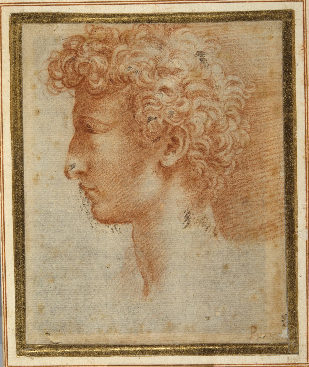 Profil av en ung mann (rødt kritt på hvitt papir) av Parmigianino