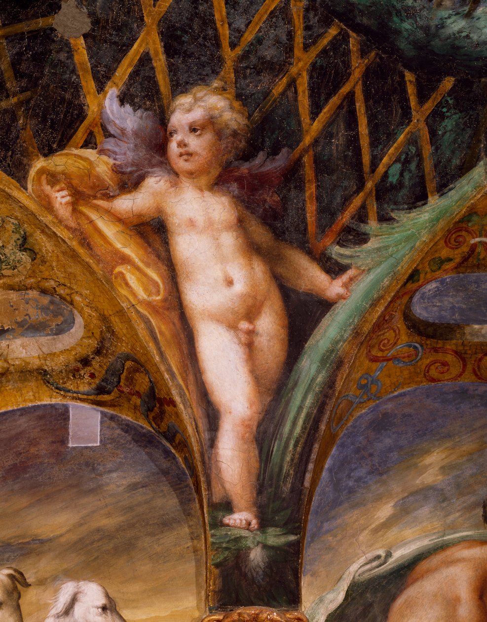 Putto, fra Myth of Diana and Actaeon av Parmigianino