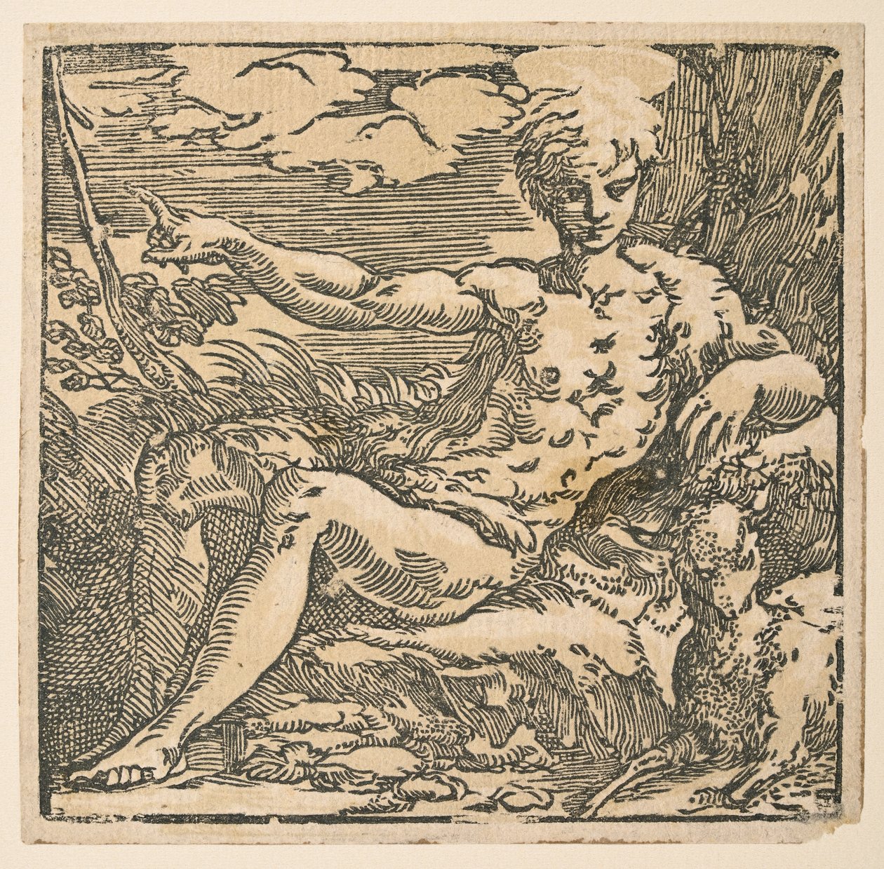 Døperen Johannes i villmarken av Parmigianino