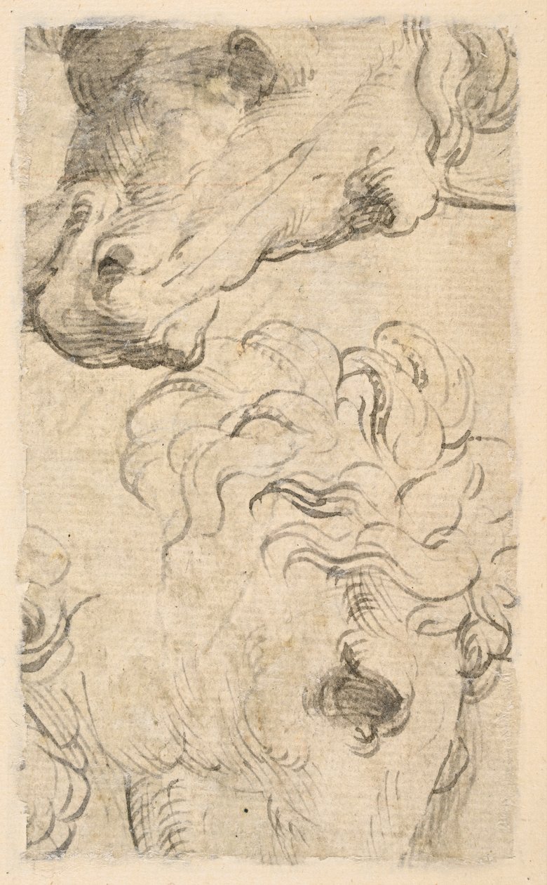 To studier av hestehoder (fragment) (verso) av Parmigianino
