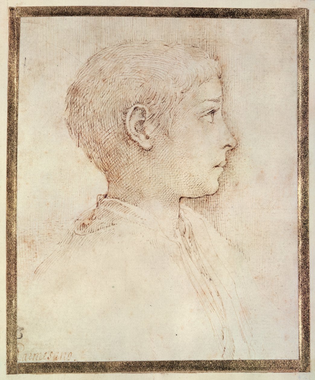 Hodet til en gutt av Parmigianino