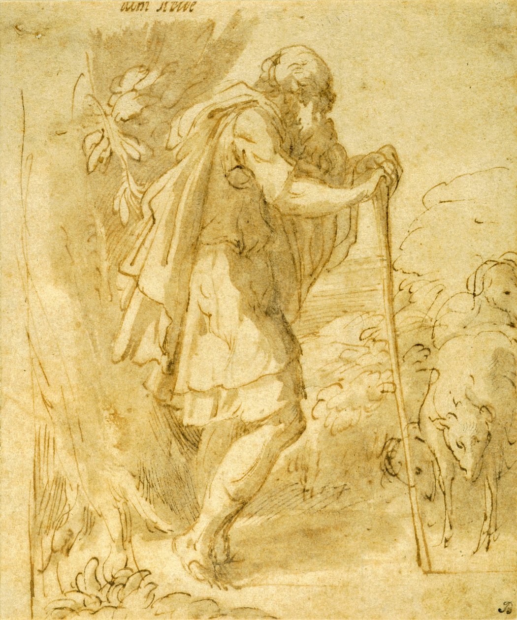 Gammel gjeter som lener seg på en stav av Parmigianino