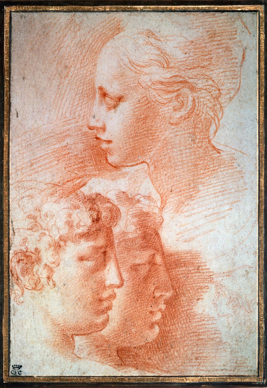 Studie av hodene, c1527 av Parmigianino