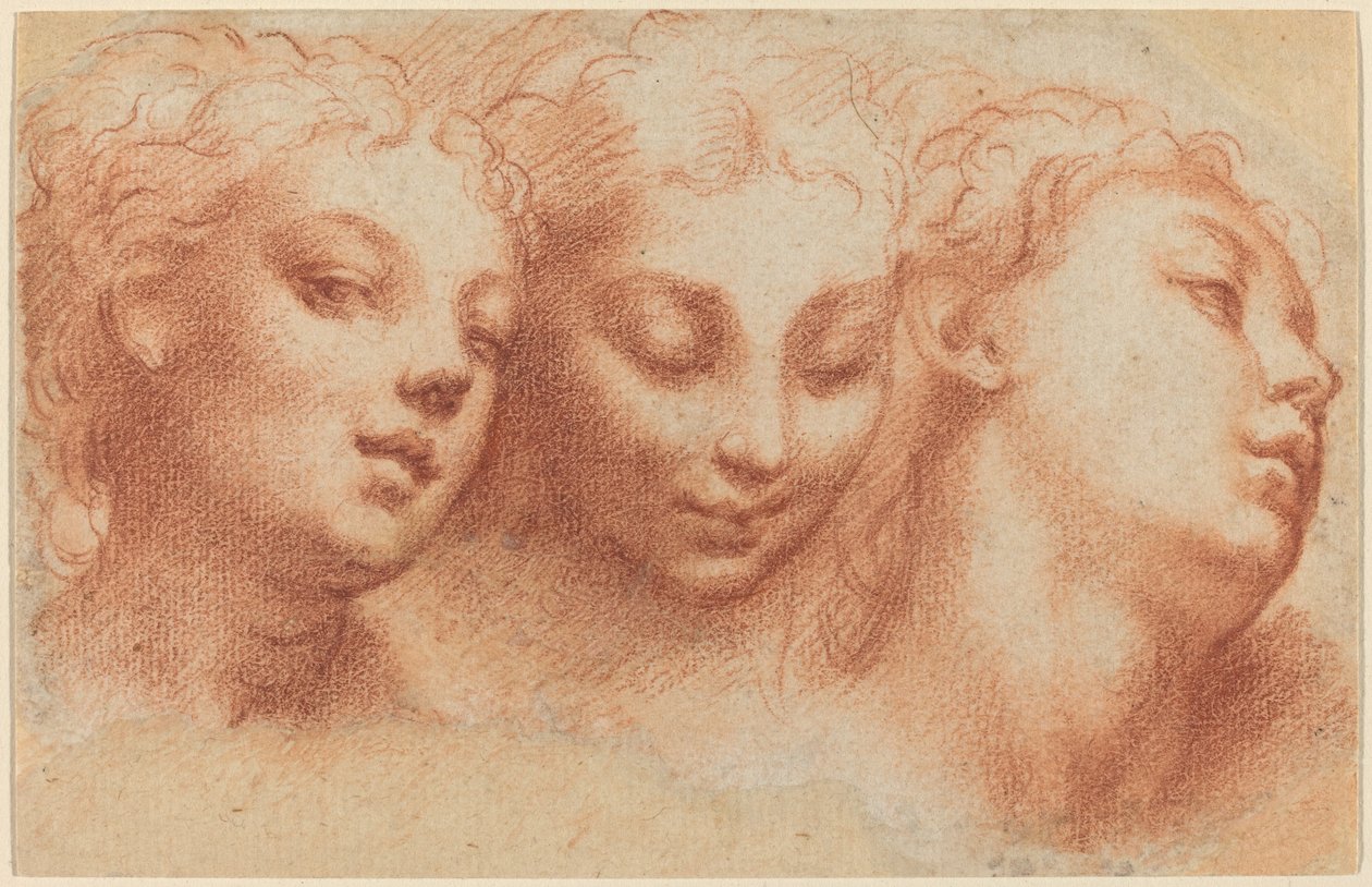 Tre feminine hoder av Parmigianino