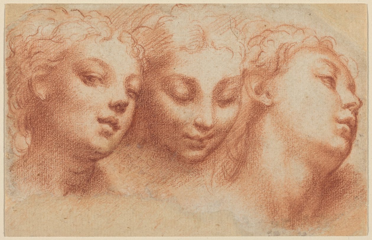 Tre kvinneportretter av Parmigianino