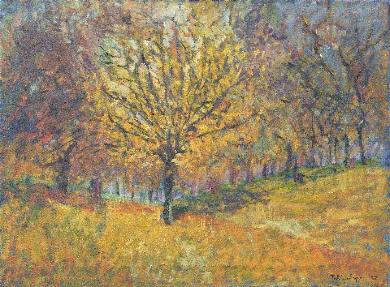 november i Hyde Park, 1997 av Patricia Espir