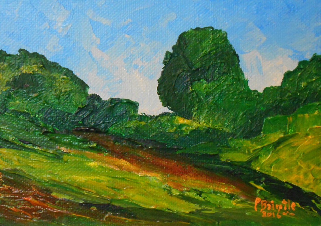Plaisance-omgivelser, 2016 (akryl på artistboard) av Patricia Brintle