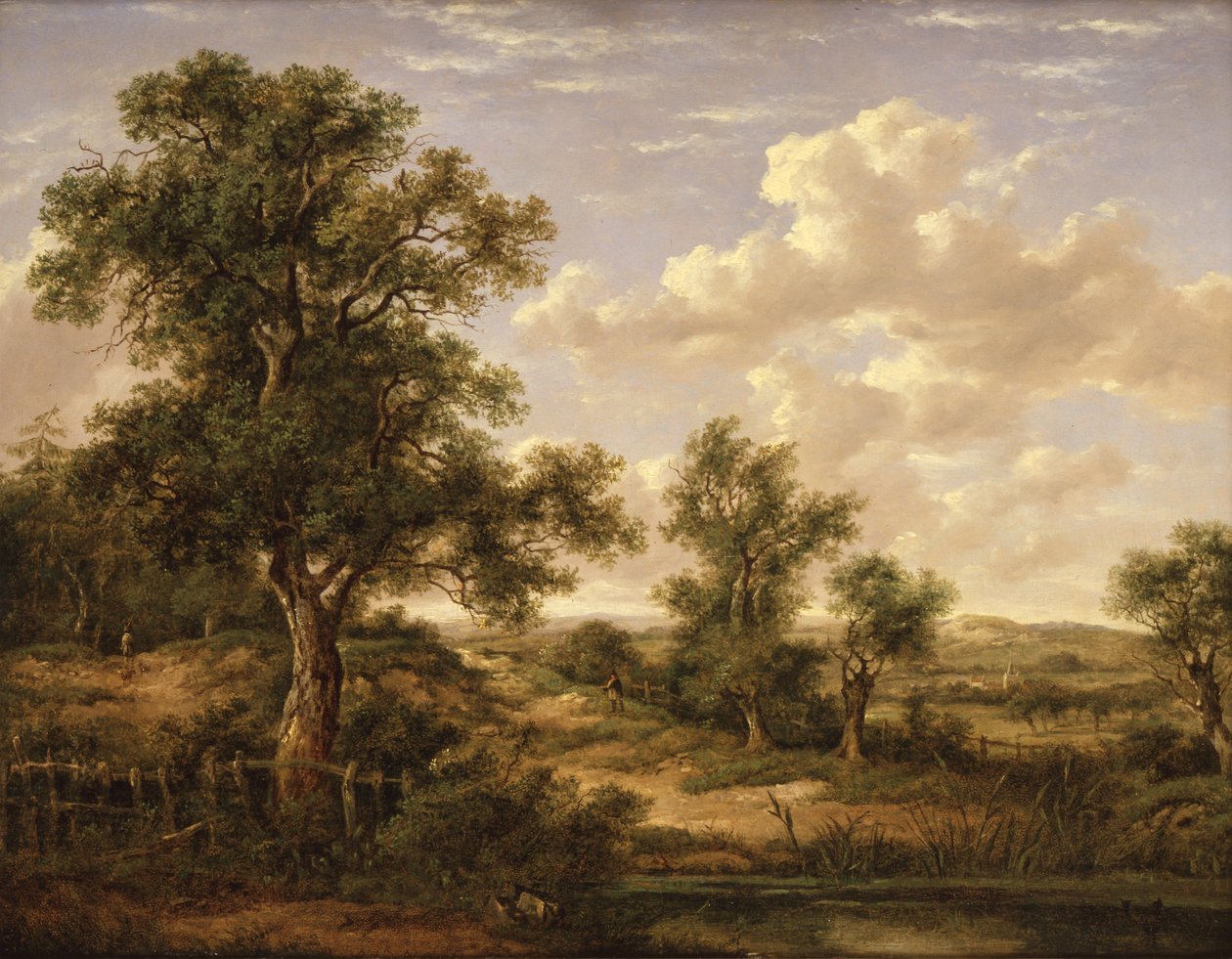  av Patrick Nasmyth