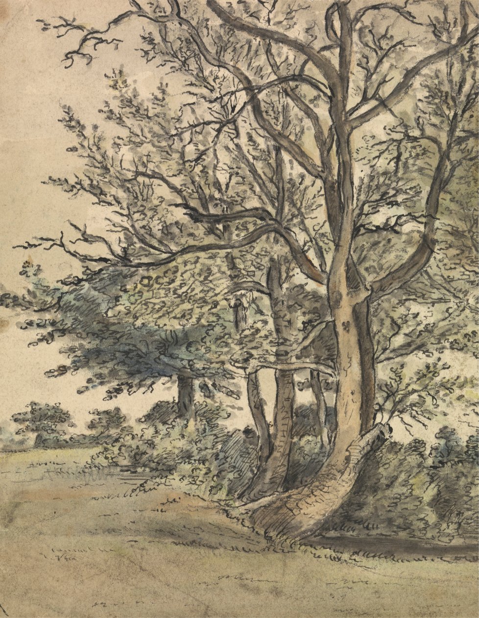 En del av Regent's Park av Patrick Nasmyth