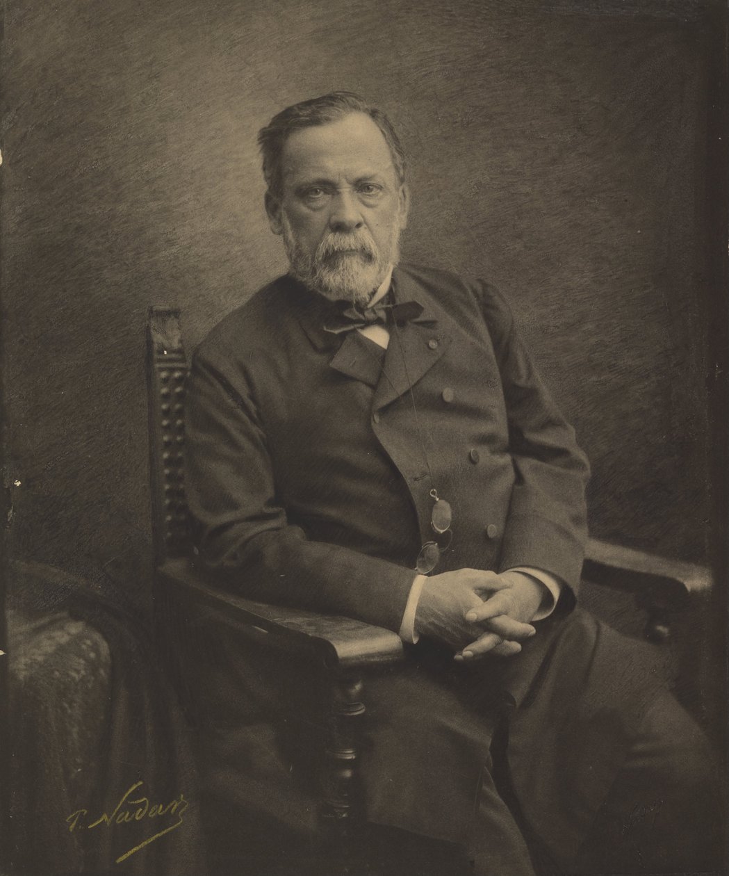 (Louis Pasteur) av Paul Nadar