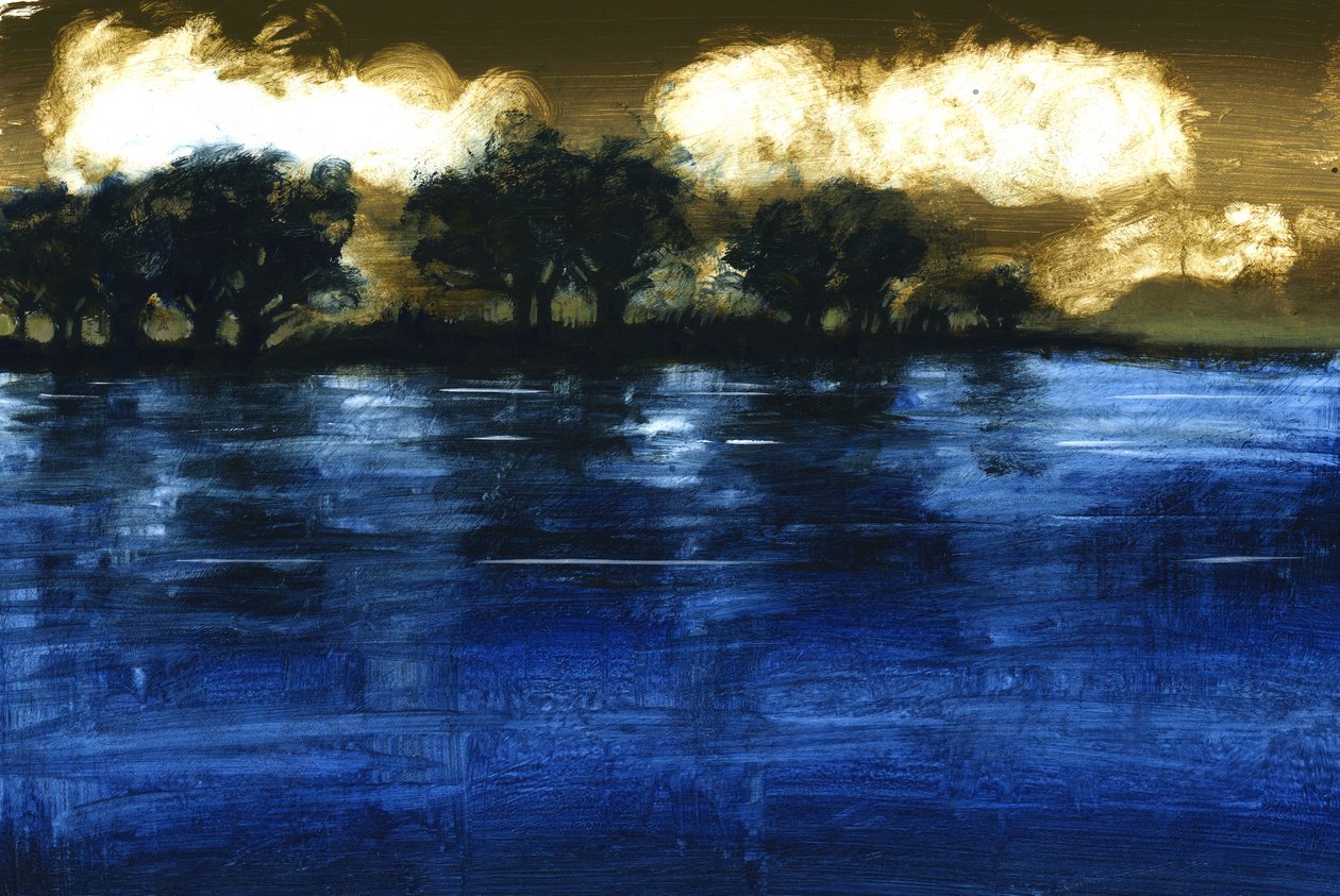 Flood, 2009 (akryl om bord) av Paul Powis