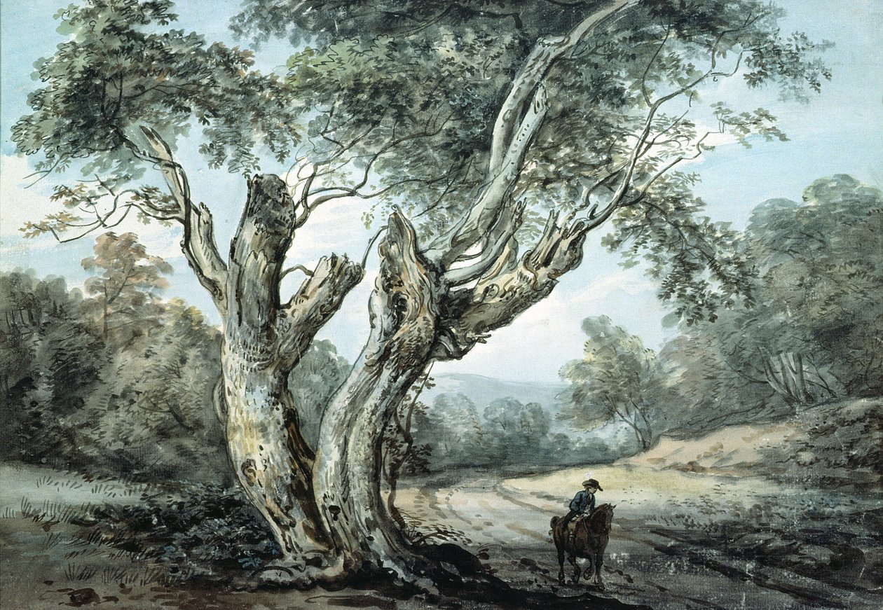 En vei gjennom Windsor Forest (akvarell) av Paul Sandby