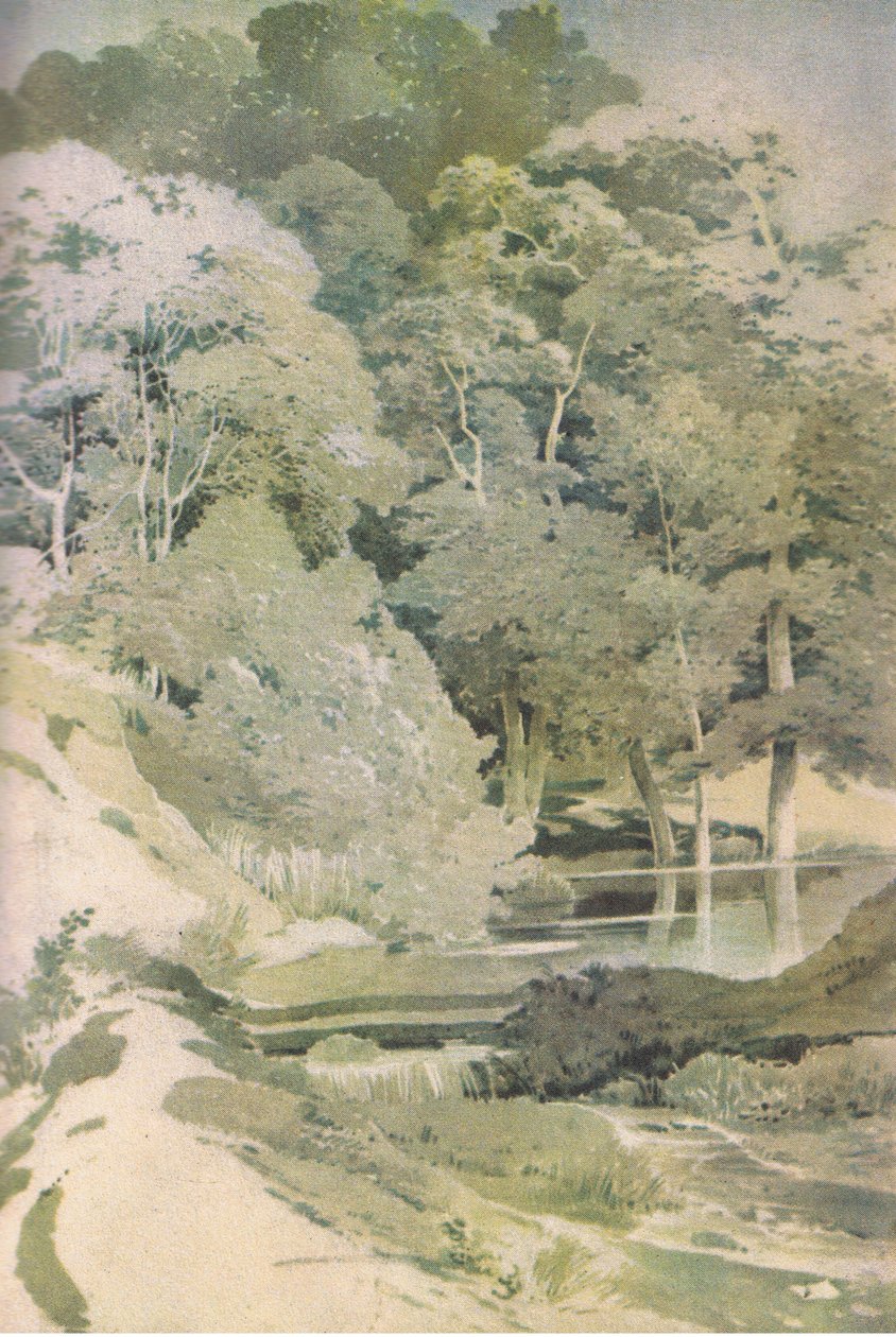 Ancient Beech in Windsor Forest, Nature in Britain utgitt av Collins, 1946 av Paul Sandby