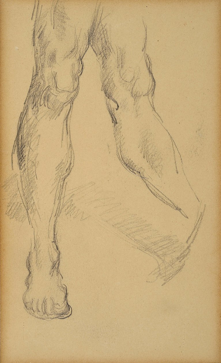 Benstudie. Tegning av Paul Cezanne (1839-1906). Bly på papir. Mål: 19,4x11,8cm. Musee Granet, Aix En Provence. av Paul Cézanne