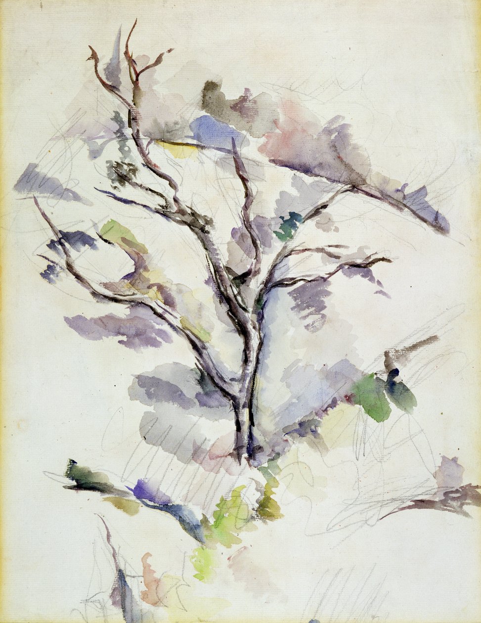 Eiken av Paul Cézanne