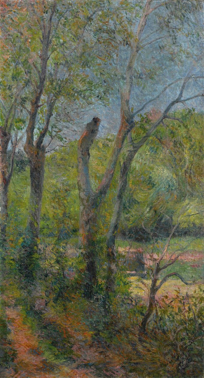  av Paul Gauguin