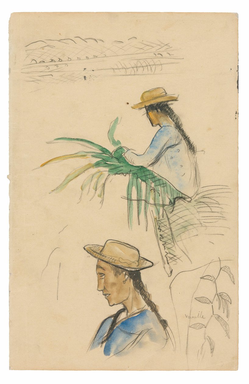 Skisser av figurer, Pandanus-blad og vaniljeplante av Paul Gauguin