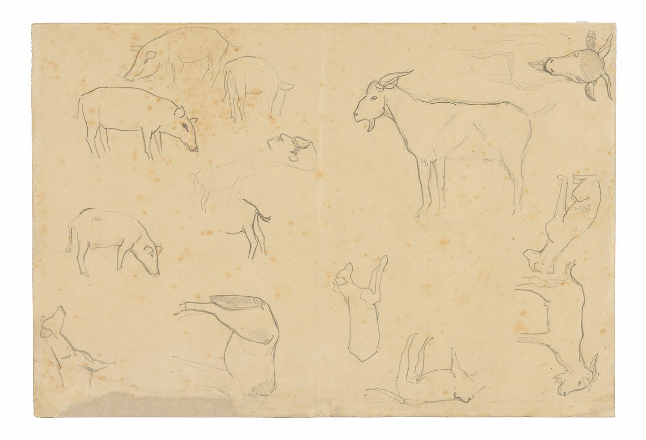  av Paul Gauguin