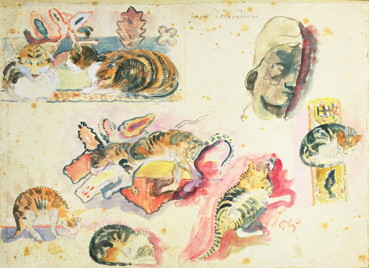 Studie av katter og et hode av Paul Gauguin