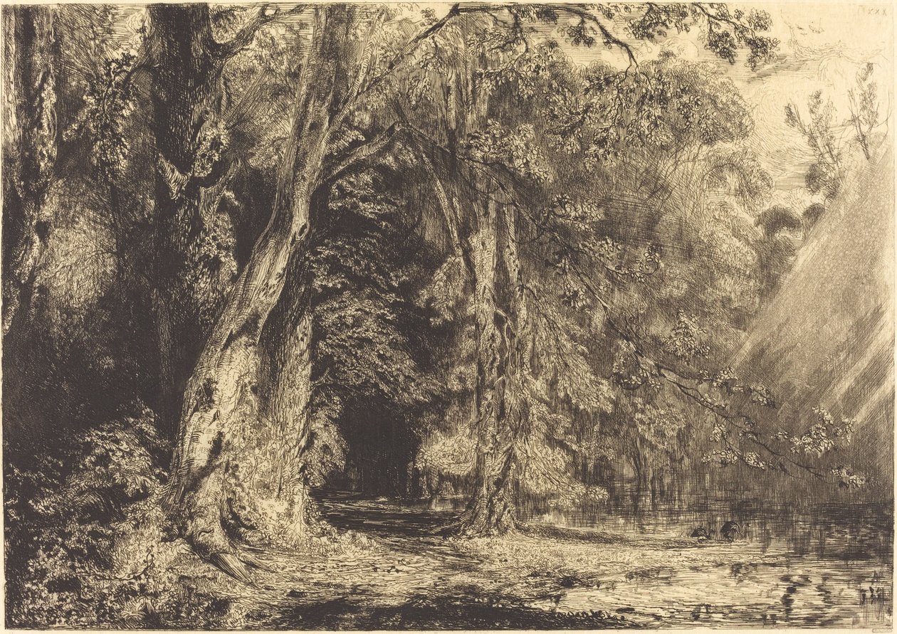 Flom i skogen til Ile Séguin av Paul Huet
