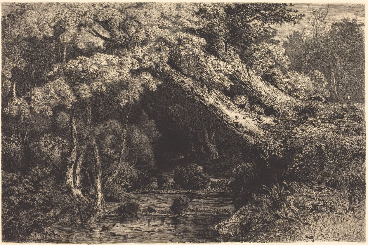 Saint-Pierre-bekken nær Pierrefonds (Ruisseau de Saint-Pierre, nær Pierrefonds) av Paul Huet