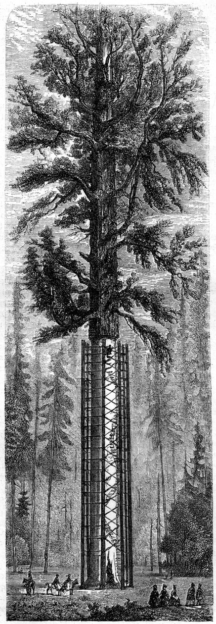 Yosemite nasjonalpark, California, 1800-tallet. av Paul Huet