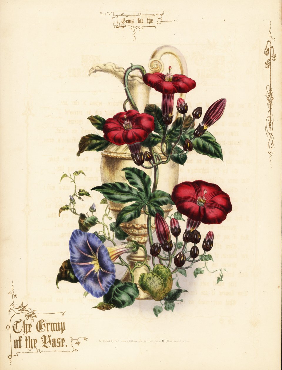 Bukett av skarlagenrød ipomoea og blå morgenfrue med vase. av Paul Jerrard