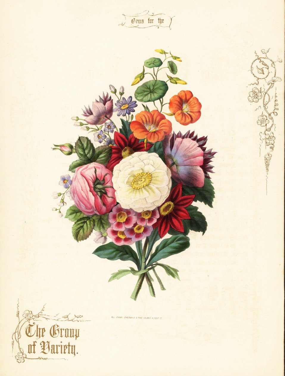 Bukett av hvit rose, dahlia, nasturtium, auricula. av Paul Jerrard