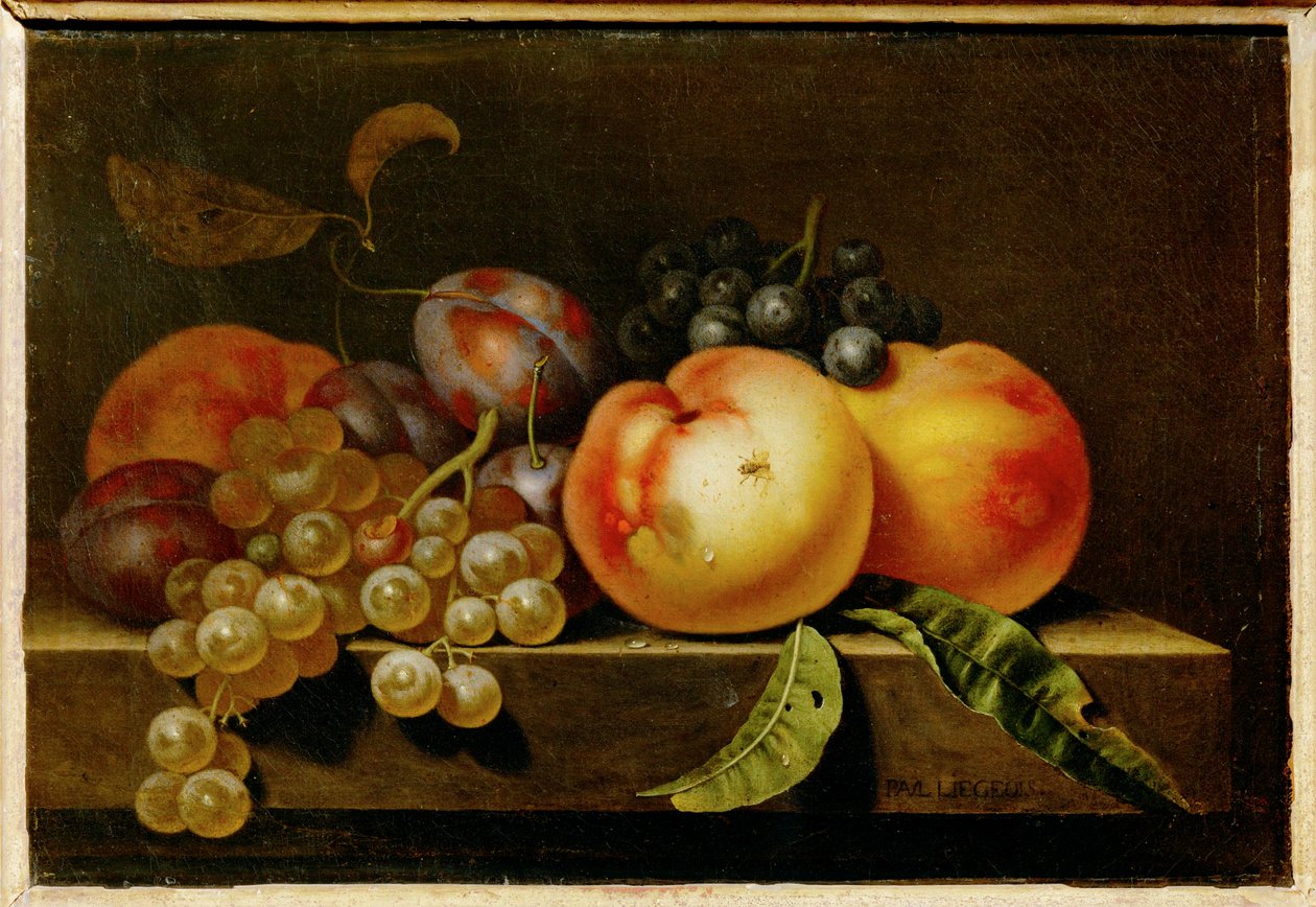  av Paul Liegeois