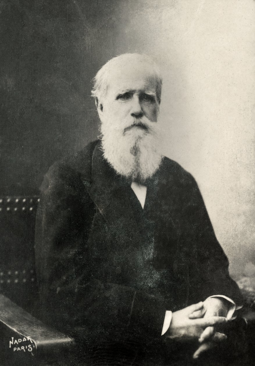  av Paul Nadar