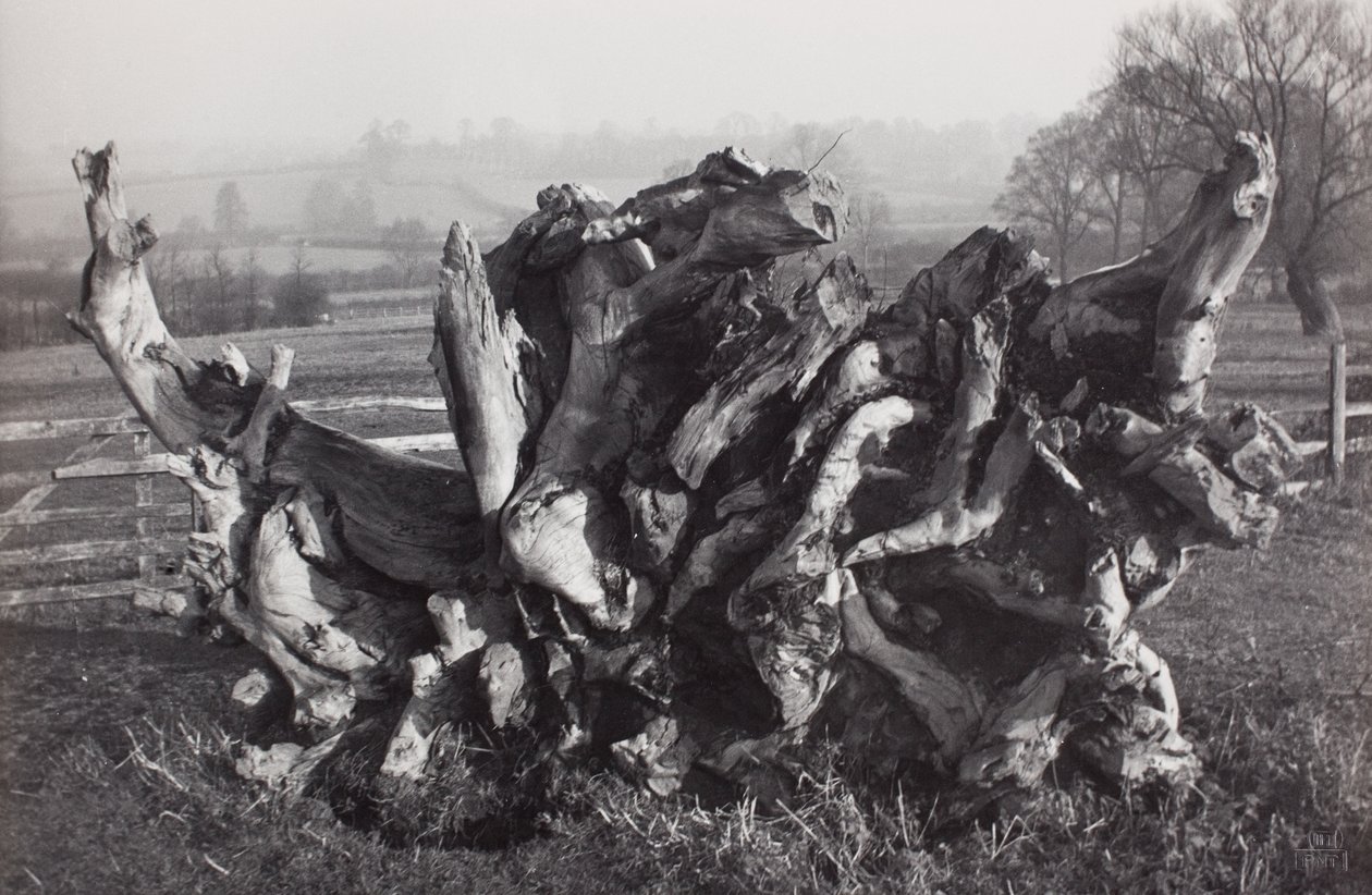  av Paul Nash