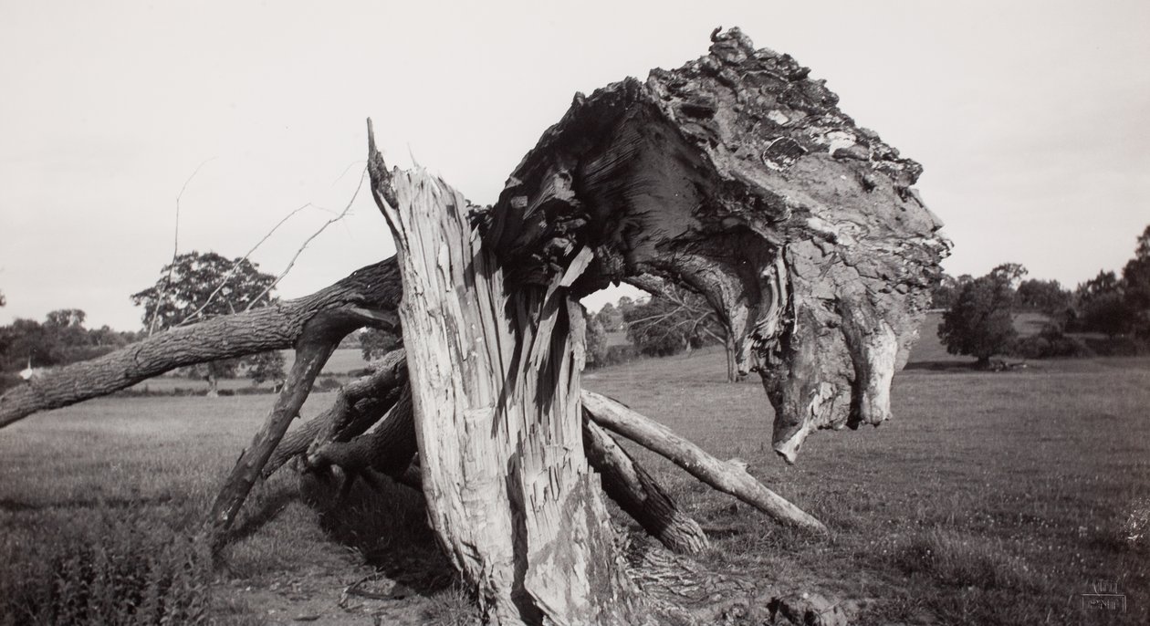  av Paul Nash