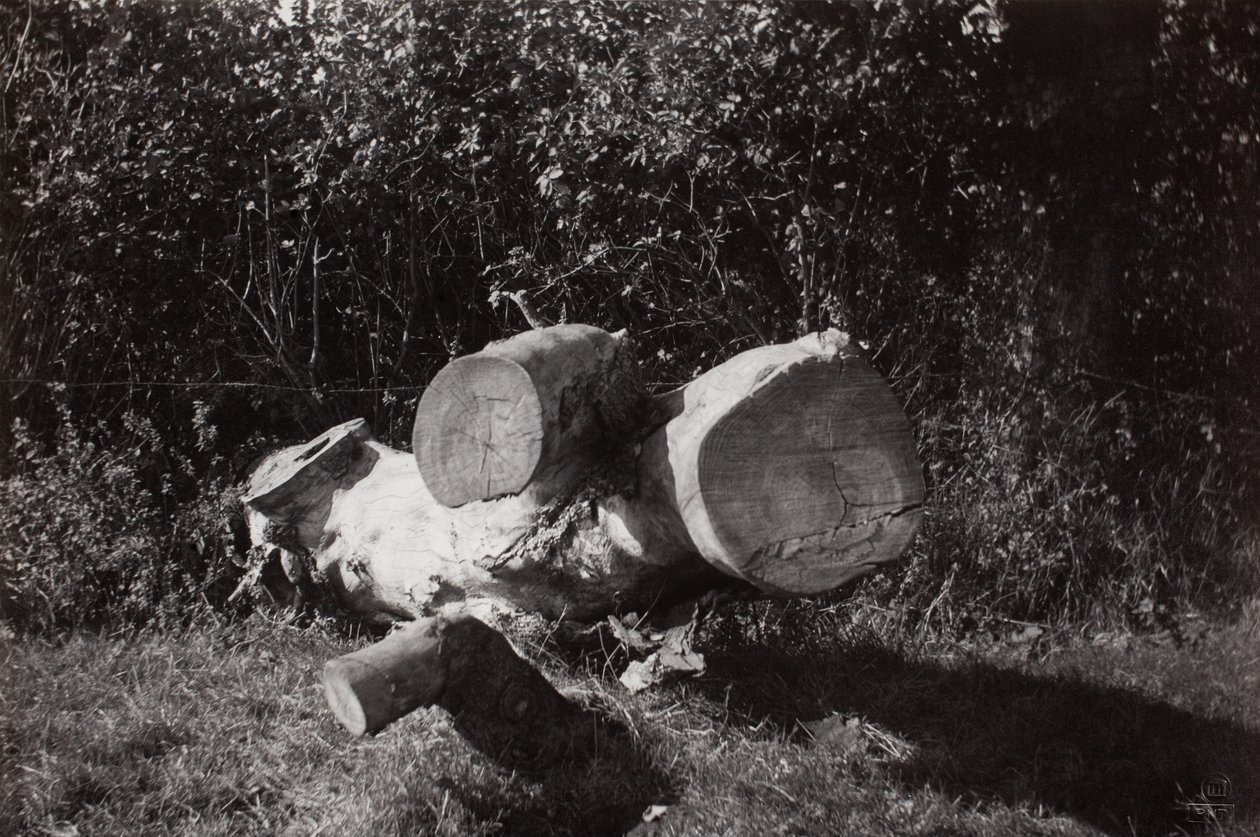 av Paul Nash