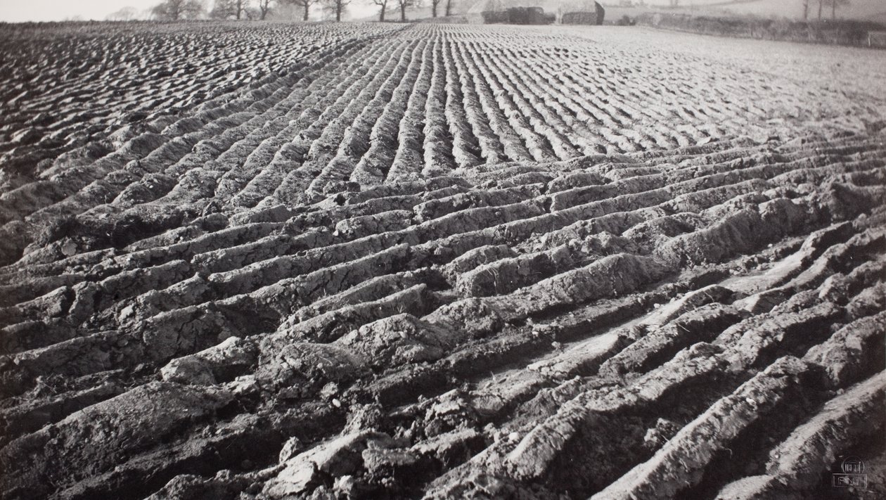  av Paul Nash