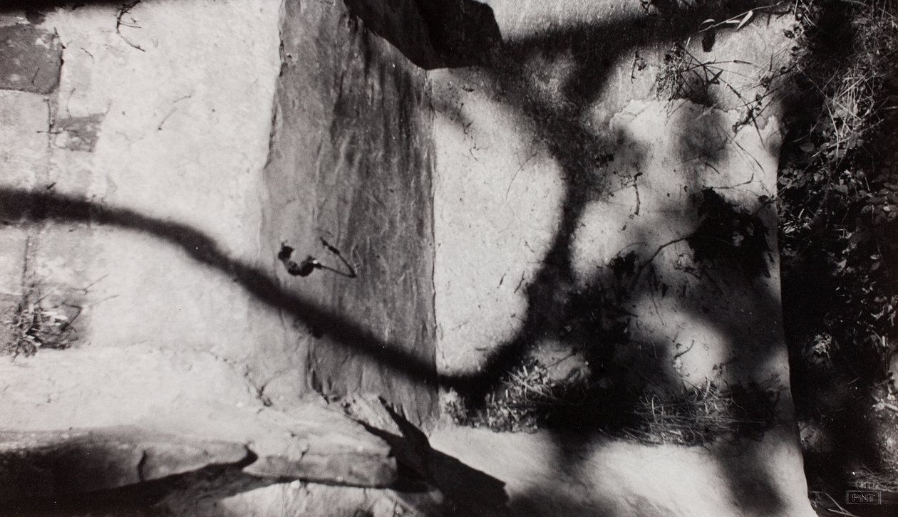 av Paul Nash