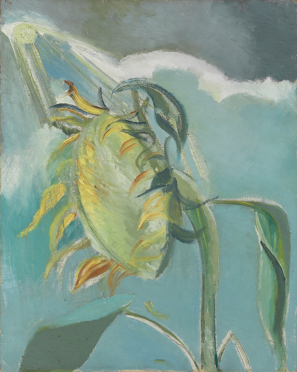 Solsikke og sol, ca. 1945 (olje på lerret) av Paul Nash