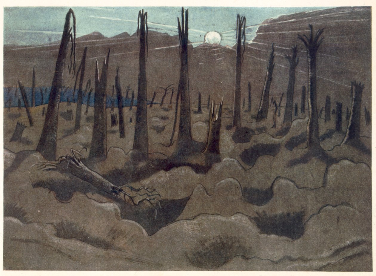 Sunrise, Inverness Copse, fra britiske artister ved fronten, fortsettelse av vestfronten, del tre, Paul Nash av Paul Nash