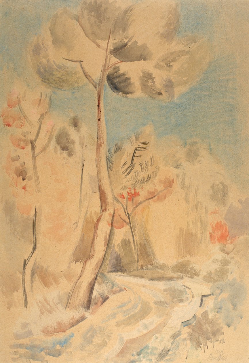 The Pine (blyant og akvarell på papir) av Paul Nash