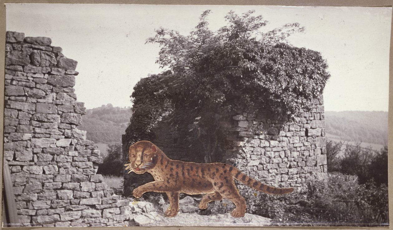 Tiger, Tiger, ca. 1938 (collage) av Paul Nash