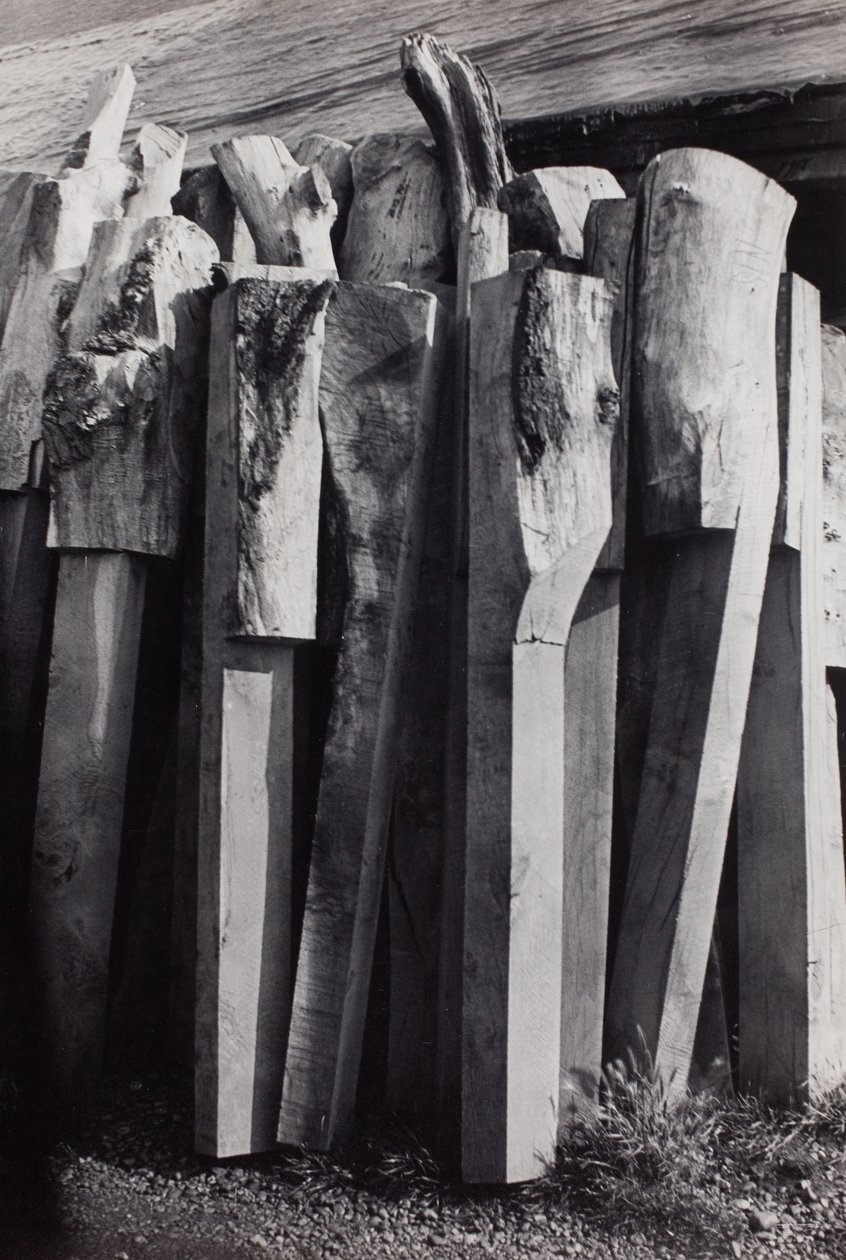  av Paul Nash