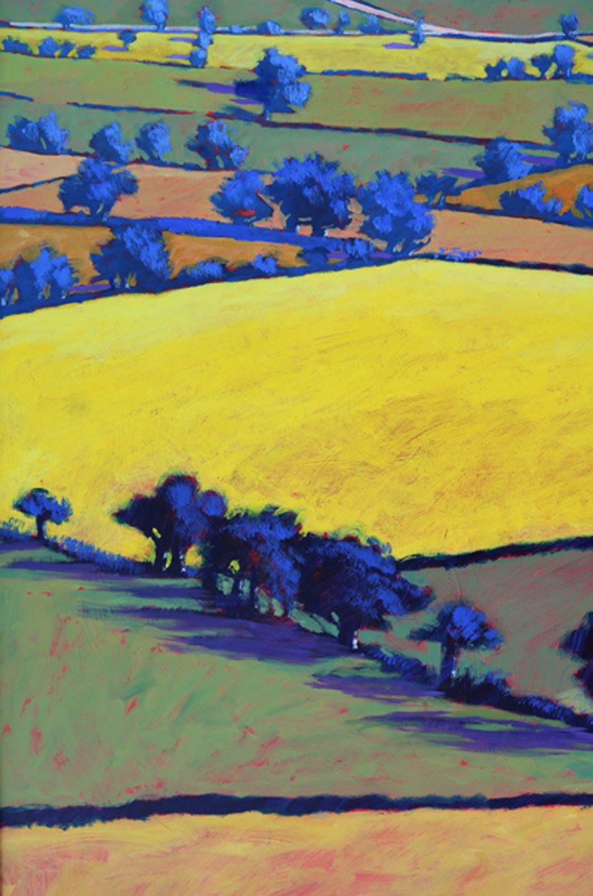 Fra Ragged Stone close up 2 (akryl om bord) av Paul Powis