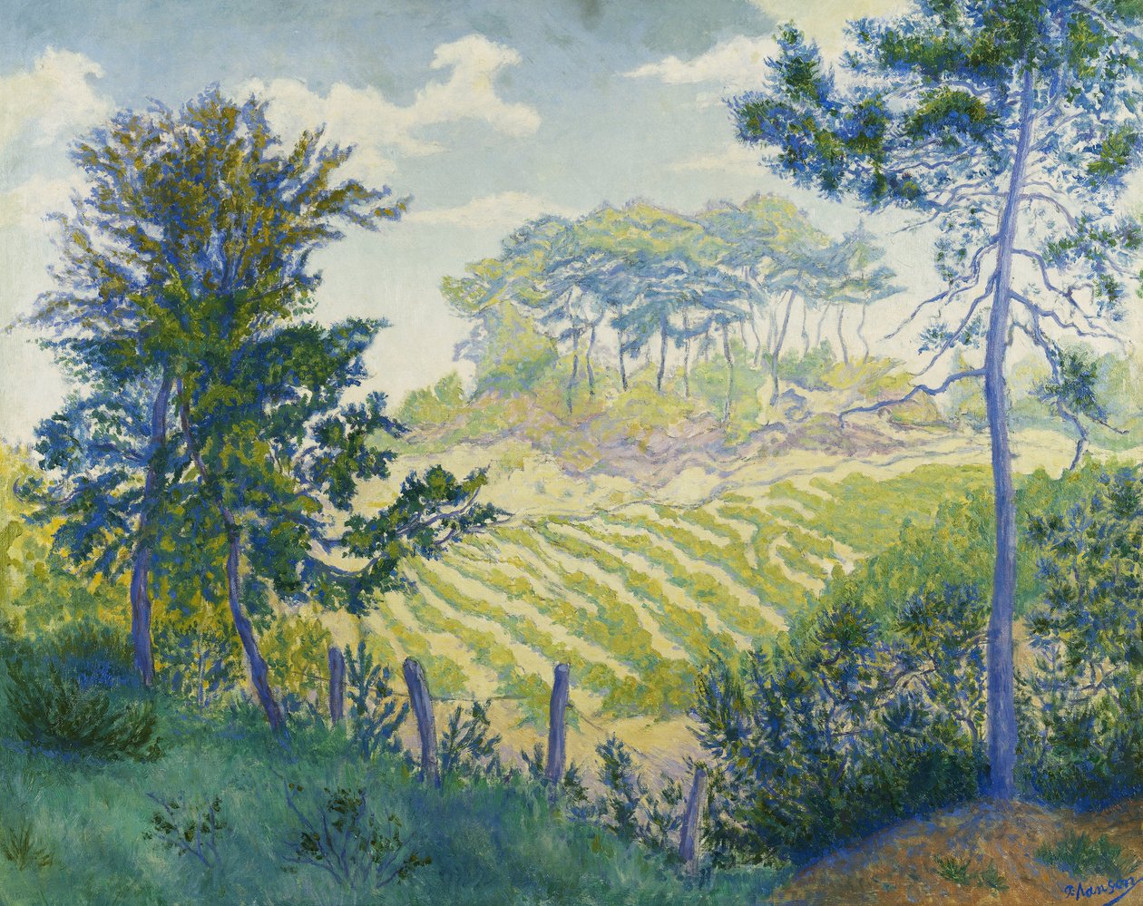 Vingårder Under Pines; The Vineyards under the Pines, ca. 1898 av Paul Elie Ranson