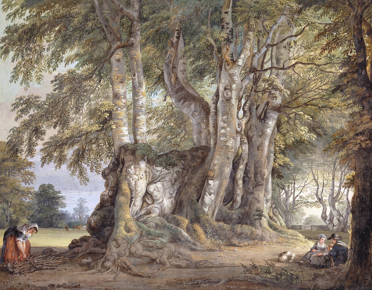 En bondepike som samler kvister og figurer som sitter ved bollen til et gammelt knudret bøketre, av Paul Sandby