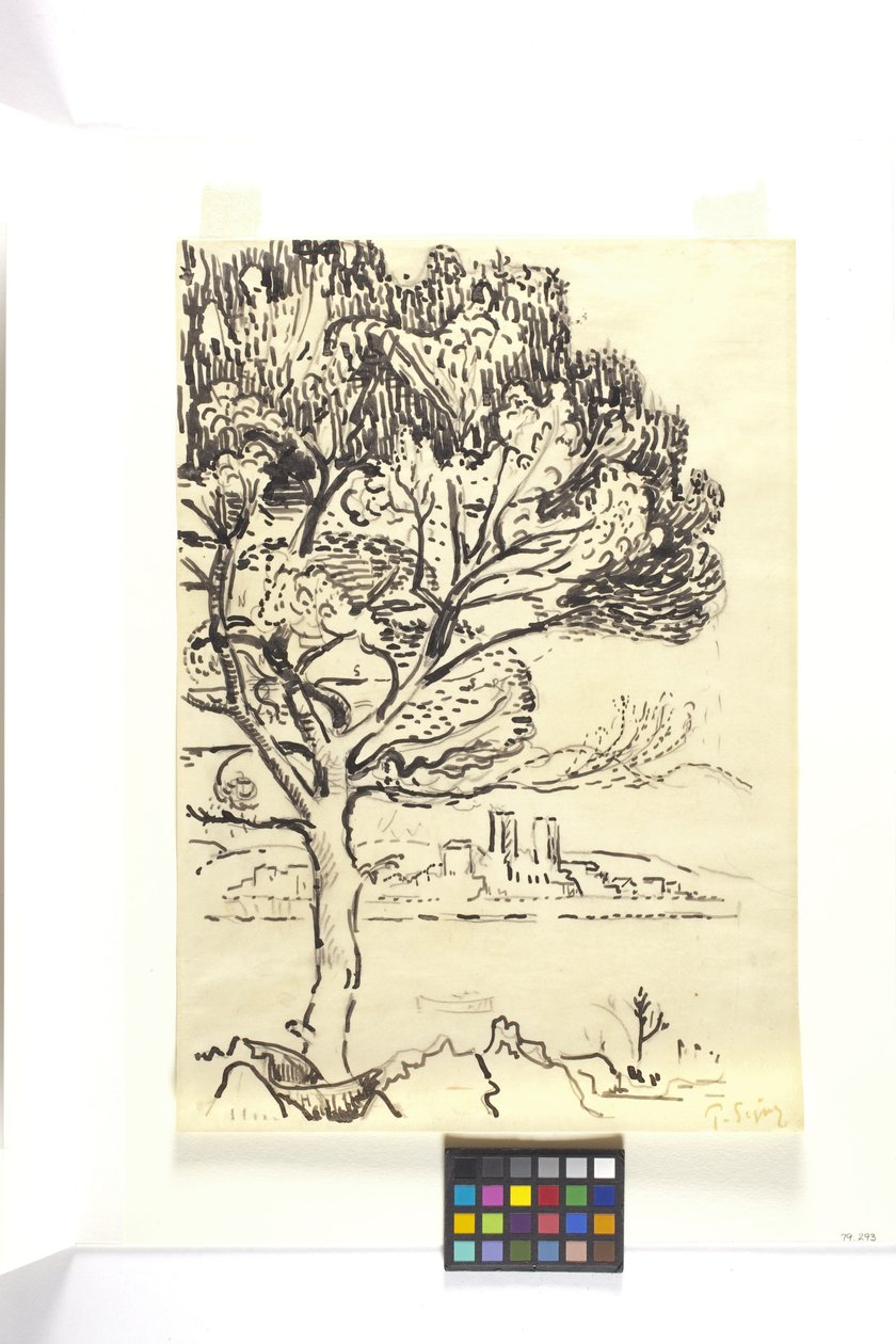 Antibes, Paraply Pine In The Foreground (Antibes, Pin Pignon Au Premier Plan) (svart blekktegning med svart blyant på brunt vevd papir) av Paul Signac