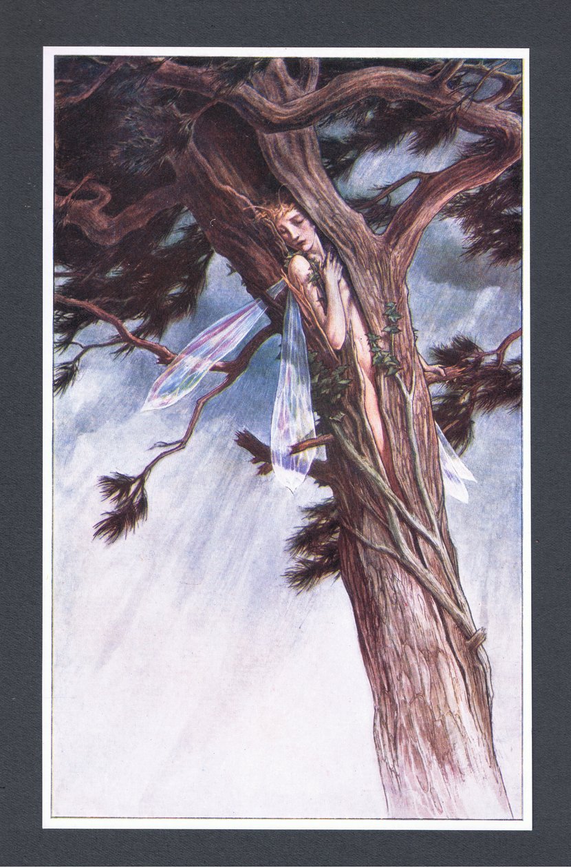 Hun begrenset deg, ved hjelp av sine mektigste forkynnere og i sitt mest usannsynlige raseri, i en kløvet furu, illustrasjon fra The Tempest, 1908 av Paul Vincent Woodroffe