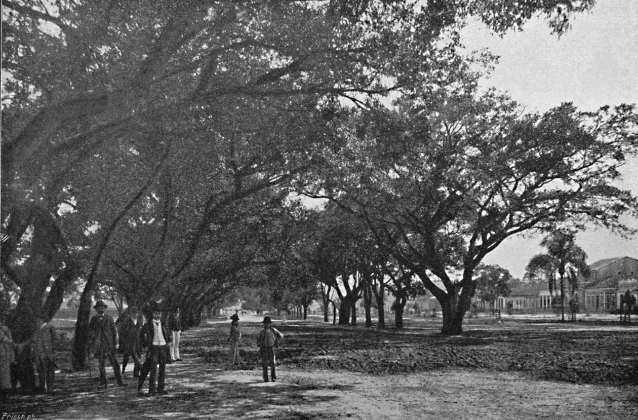 Avenida de Tiradentes, 1895 av Paulo Kowalsky