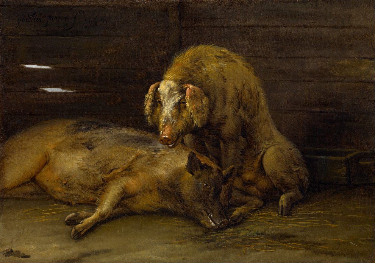 Two Pigs in a Sty, 1649 av Paulus Potter