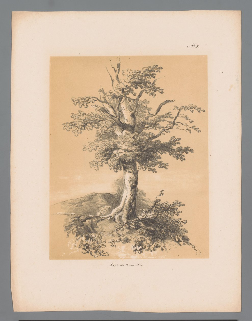 Bom Pittoreske ansikter av Paulus Lauters (serietittel) Etrennes pittoresques pour 1839, av Lauters (serietittel) av Paulus Lauters