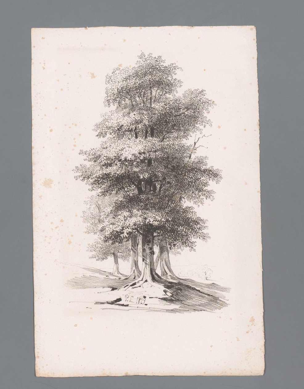 Gruppe med fem trær Prinsipper for landskap (serietittel) Principles de paysages (serietittel) av Paulus Lauters