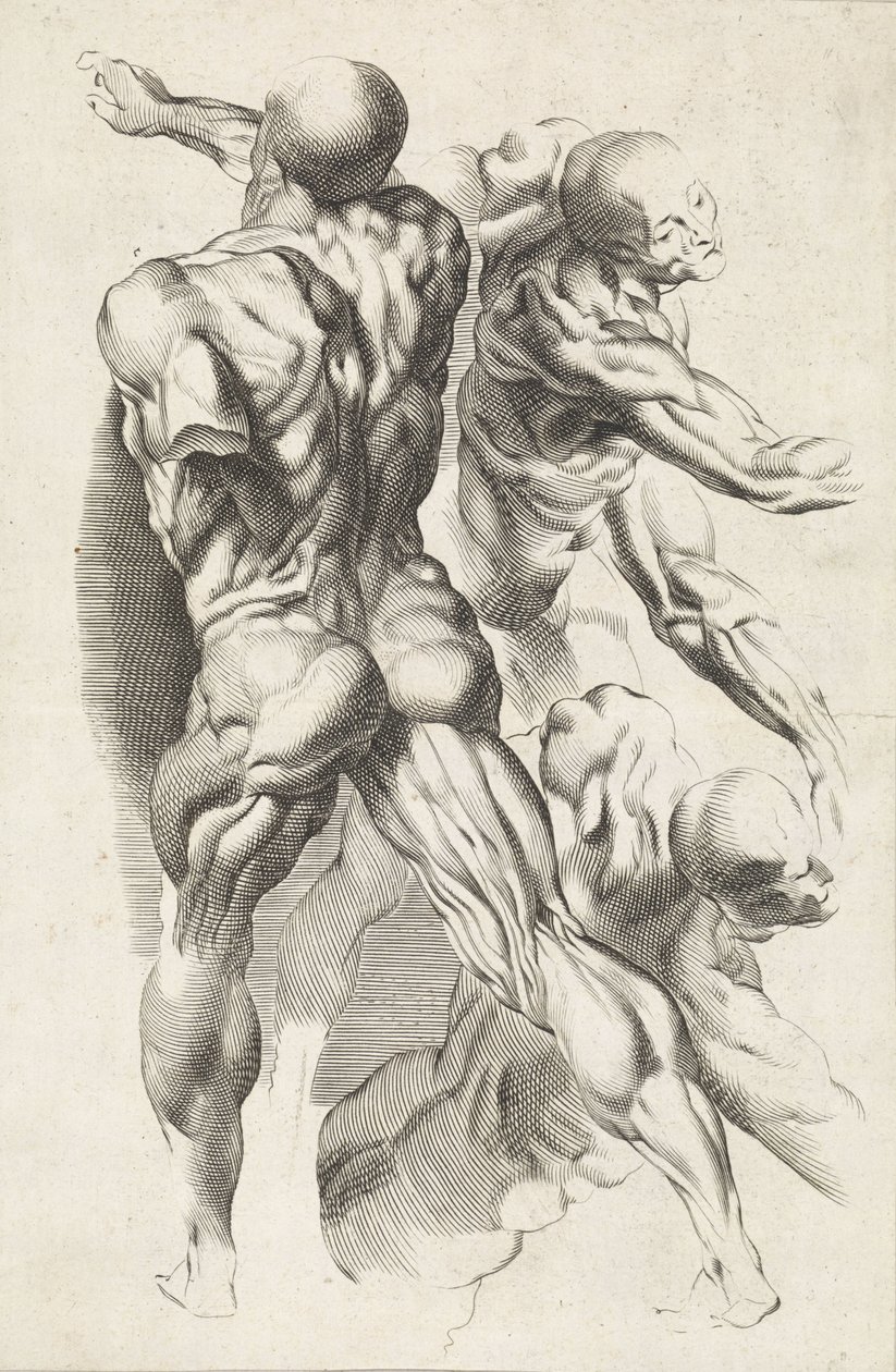 Anatomisk studie av tre figurer med utstrakte armer Tegneboken til Peter Paul Rubens (serietittel) av Paulus Pontius